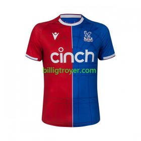 Billige Fotballdrakter Crystal Palace Hjemmedraktsett 2023/24 Kortermet